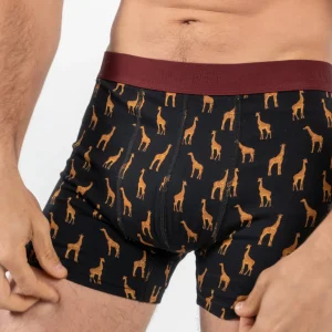 BILLYBELT Boxer en coton biologique Girafe> Boxers