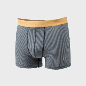 BILLYBELT Boxer en coton biologique Navy stripes> Boxers