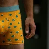 BILLYBELT Boxer en coton biologique Saguaro> Boxers