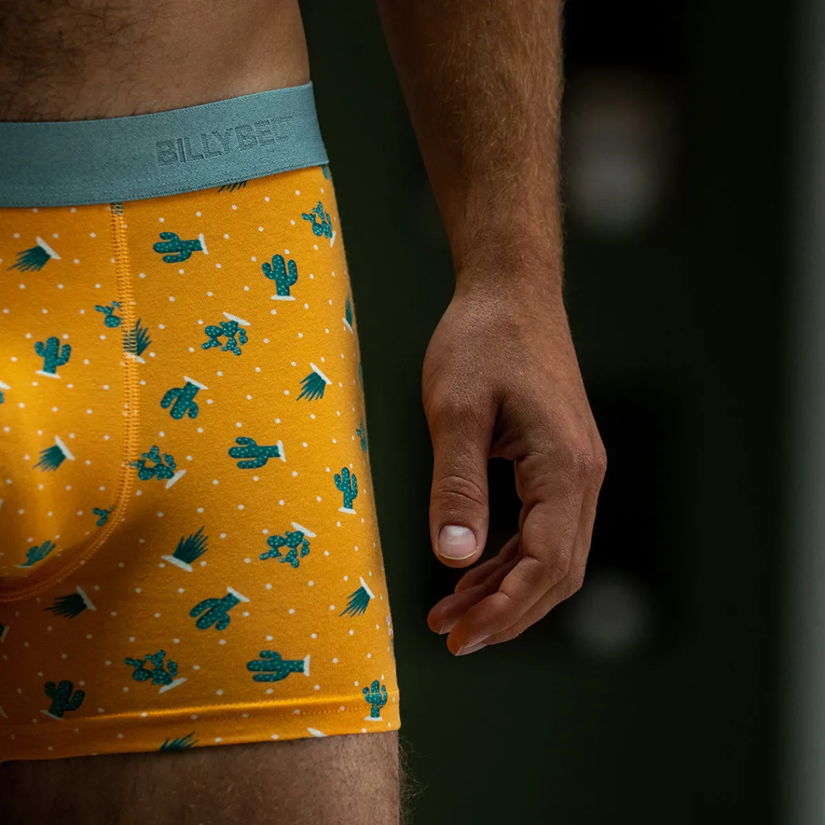 boxer_en_coton_biologique_saguaro_0.webp BILLYBELT Boxer en coton biologique Saguaro> Boxers