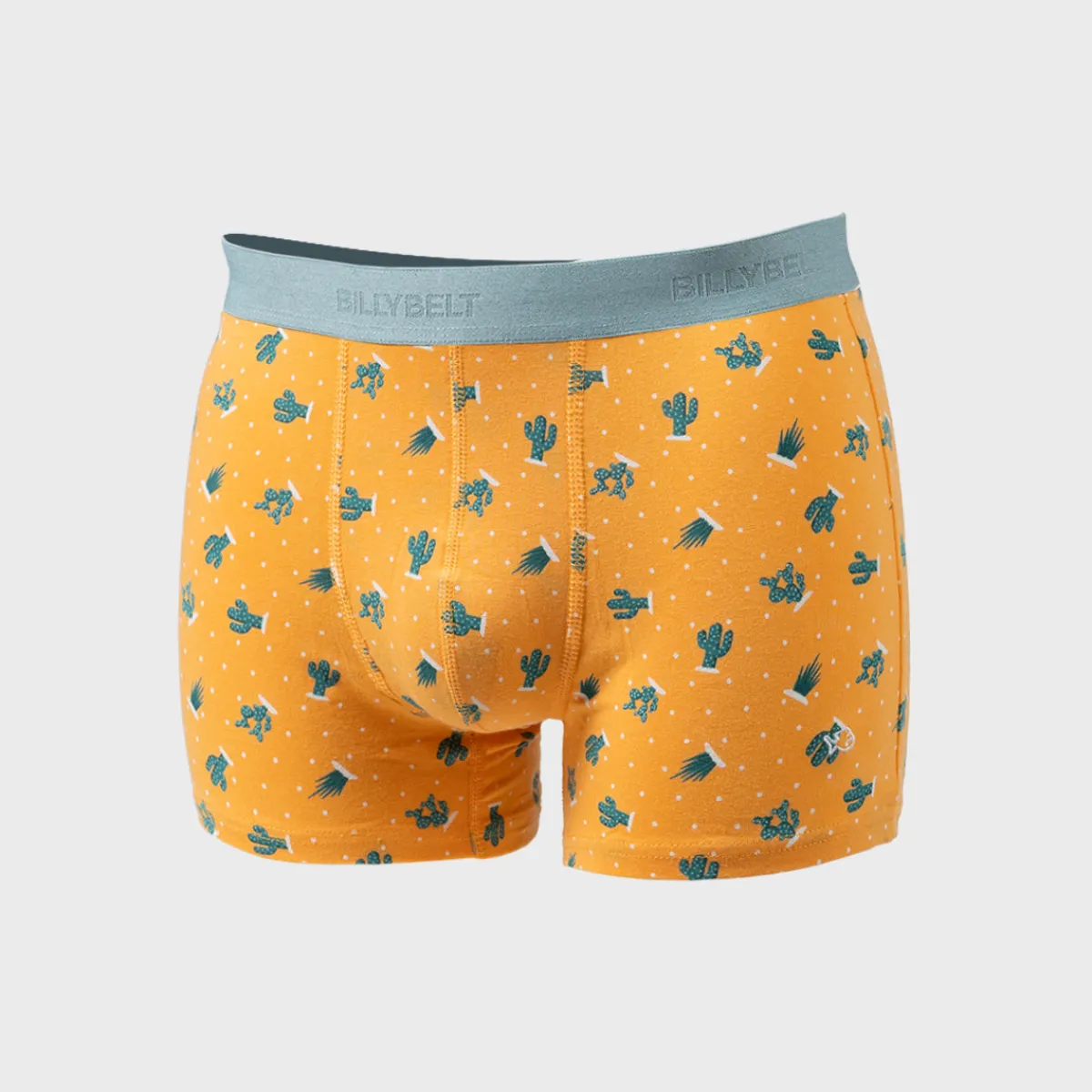 boxer_en_coton_biologique_saguaro_1.webp BILLYBELT Boxer en coton biologique Saguaro> Boxers