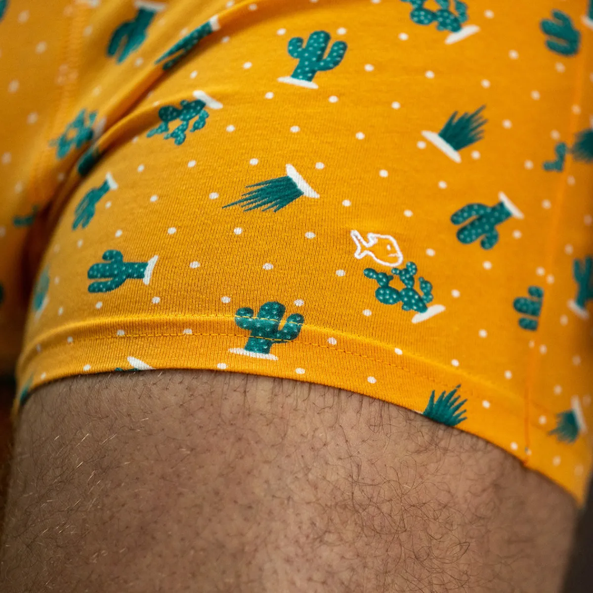 boxer_en_coton_biologique_saguaro_2.webp BILLYBELT Boxer en coton biologique Saguaro> Boxers