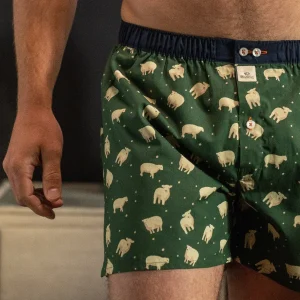 BILLYBELT Caleçon en 100% coton biologique Irish> Caleçons