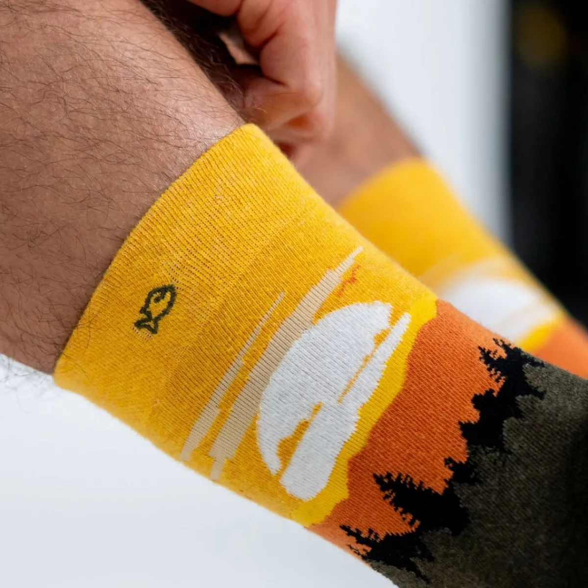 chaussettes_en_coton_peign__motifs__yosemite_2.webp BILLYBELT Chaussettes en coton peigné À motifs - Yosemite>Homme Chaussettes Fantaisie