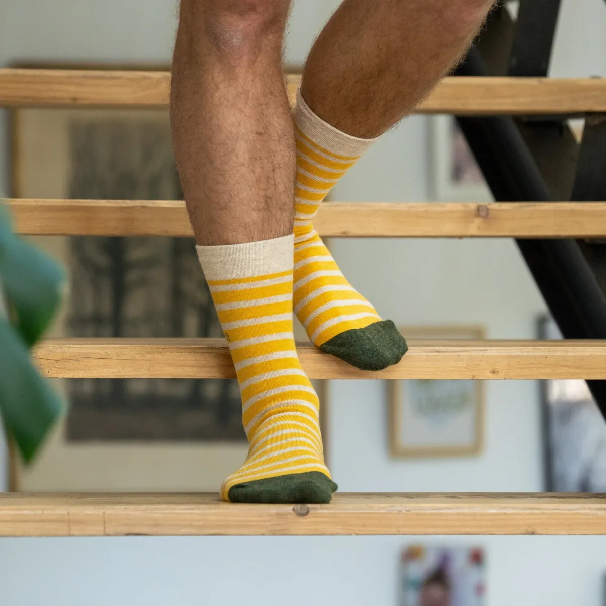 chaussettes_en_coton_peign_a_rayures_larges__safran_ray_beige_3.webp BILLYBELT Chaussettes en coton peigné A rayures larges - Safran, rayé beige>Homme Chaussettes Fantaisie