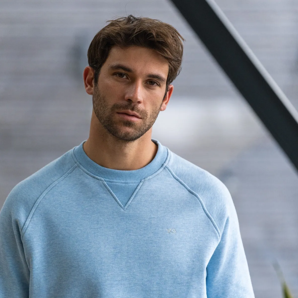 sweatshirt_en__coton_biologique_casual__bleu_clair_2.webp BILLYBELT Sweatshirt en 100% coton biologique Casual -> Sweatshirts