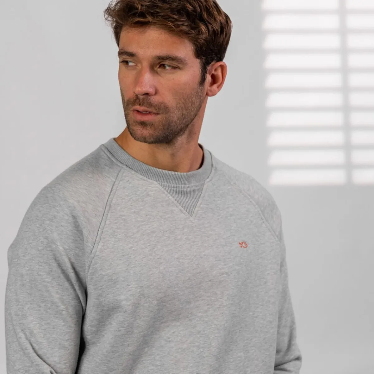 sweatshirt_en__coton_biologique_casual__gris_clair_0.webp BILLYBELT Sweatshirt en 100% coton biologique Casual -> Sweatshirts
