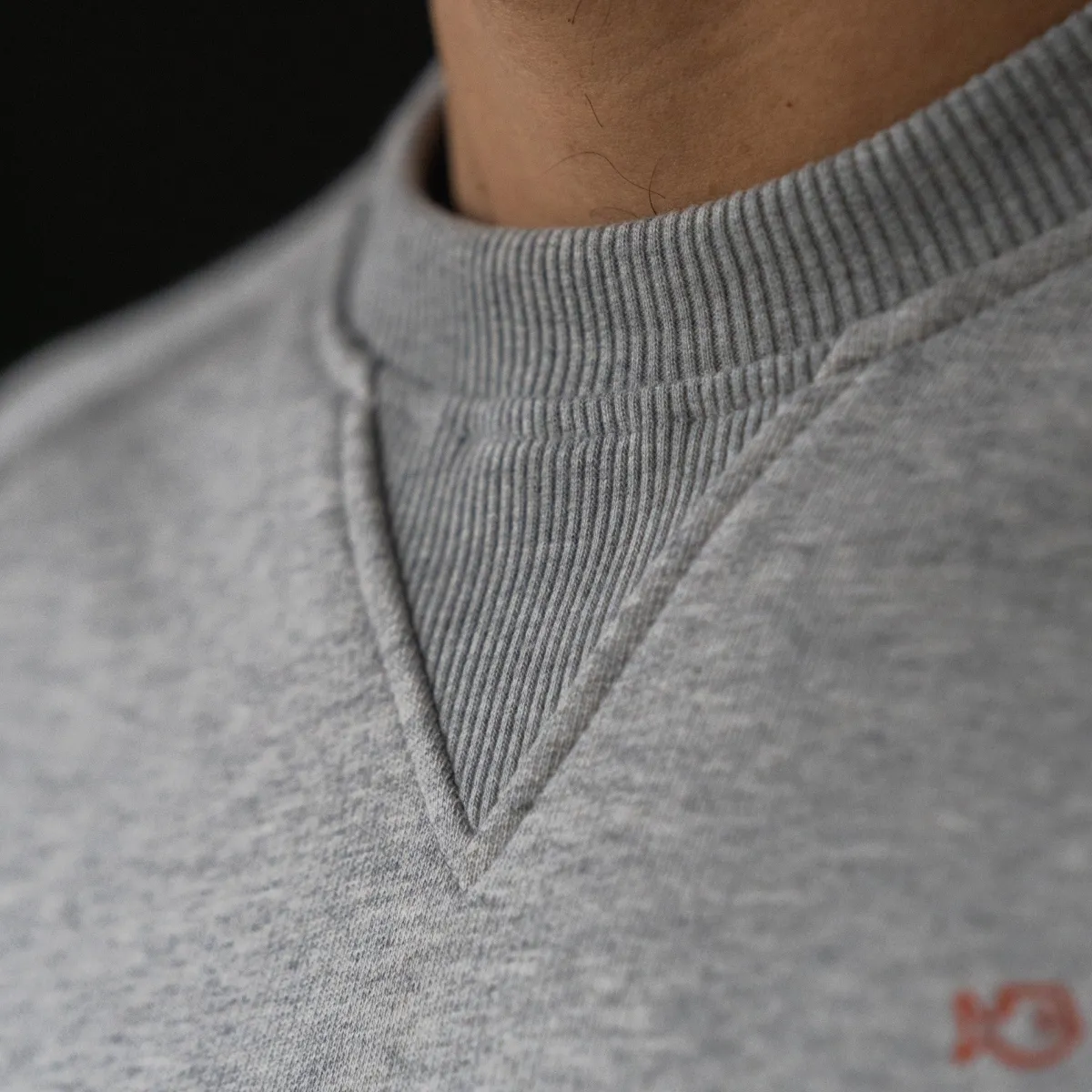 sweatshirt_en__coton_biologique_casual__gris_clair_2.webp BILLYBELT Sweatshirt en 100% coton biologique Casual -> Sweatshirts